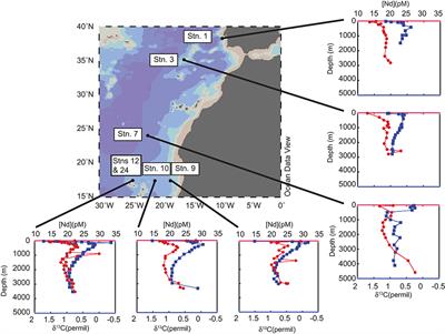 The Impact of Benthic Processes on Rare Earth Element and Neodymium Isotope Distributions in the Oceans